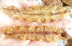 Khô tôm tích (bề bề)